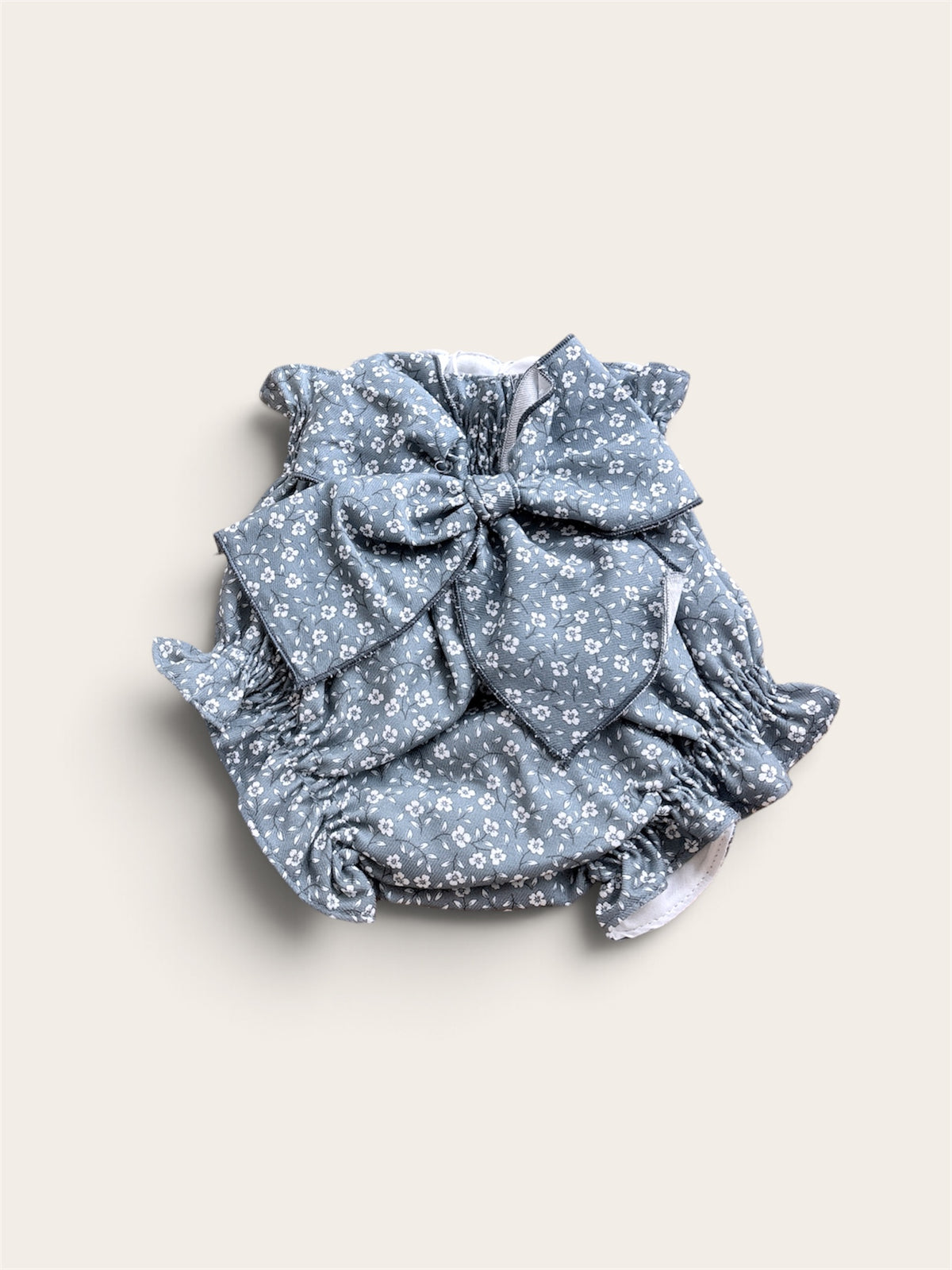Ranita Lazada Blue Garden | Paloma de la O