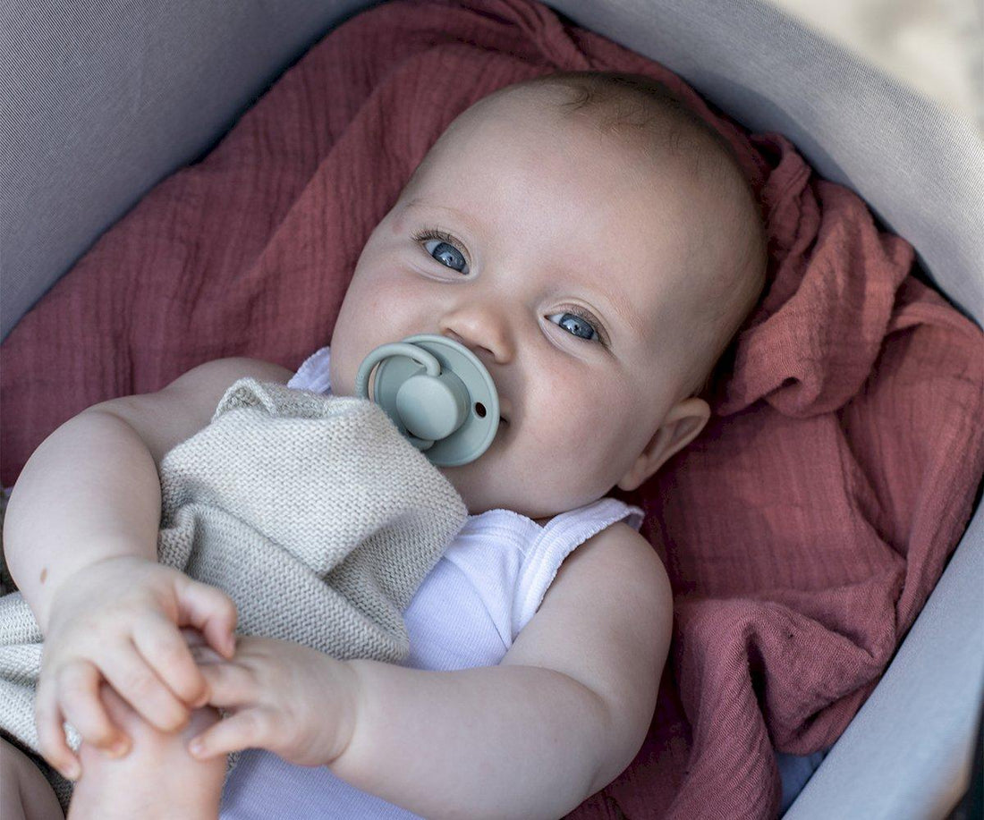 Pack 2 | Chupete Tetina Redonda Silicona | De Lux Woodchuck Blush | Bibs